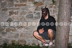 Demoni